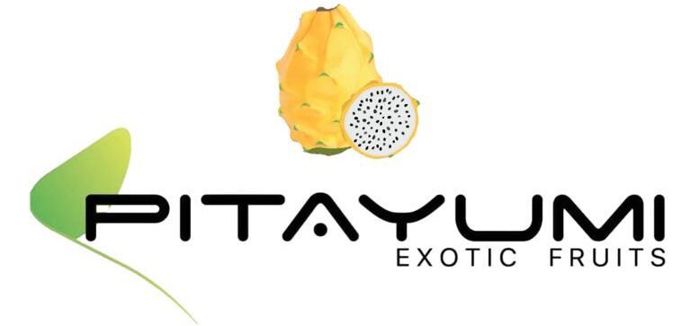 Descubre Los Incre Bles Beneficios De La Pitahaya Y C Mo Puedes